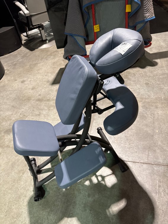 Master GymLane Massage Chair with Case