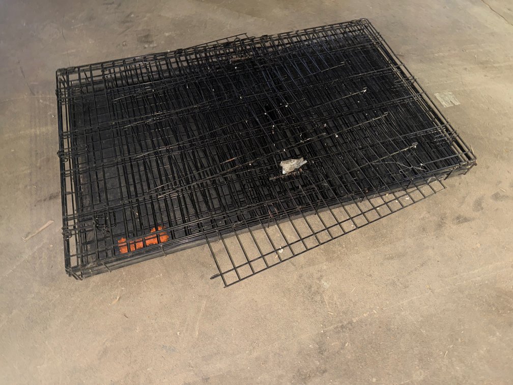 Folding Black Wire Pet Crate with Plastic Tray and Chew Toy