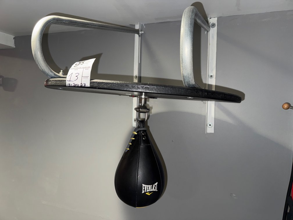 Everlast Speed Bag w/ Mount