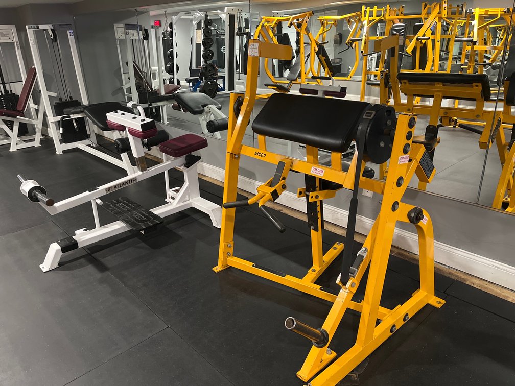 Hammer Strength Bicep Curl Machine 