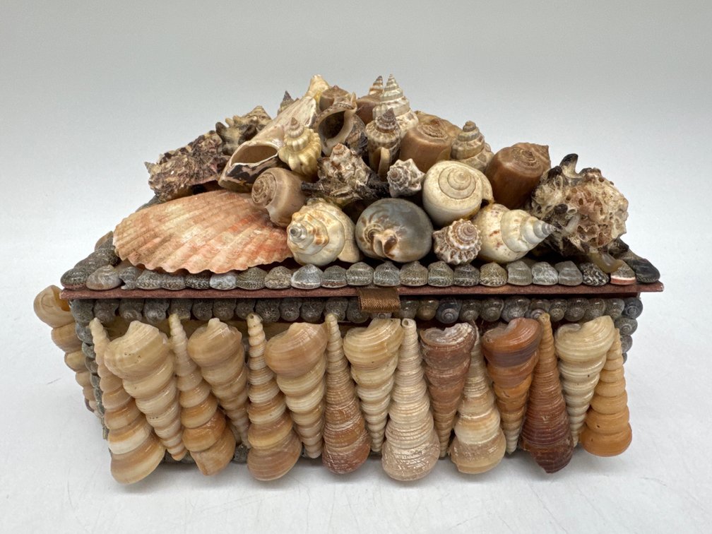 Lovely vintage shell encrusted lidded box