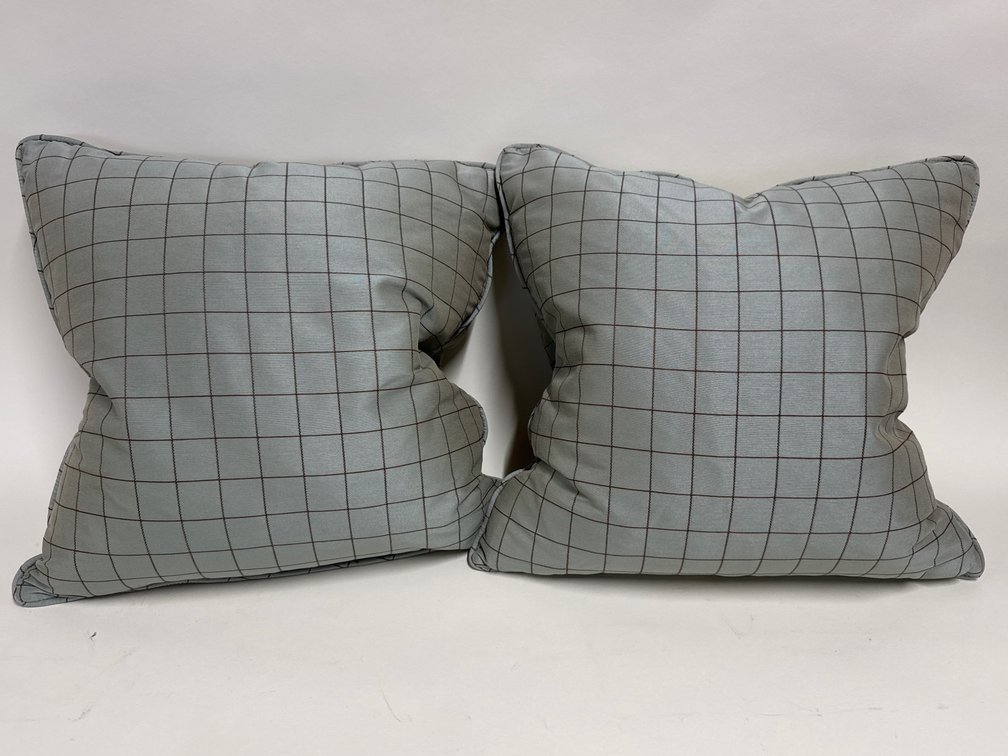 Pair windowpane pattern pillows