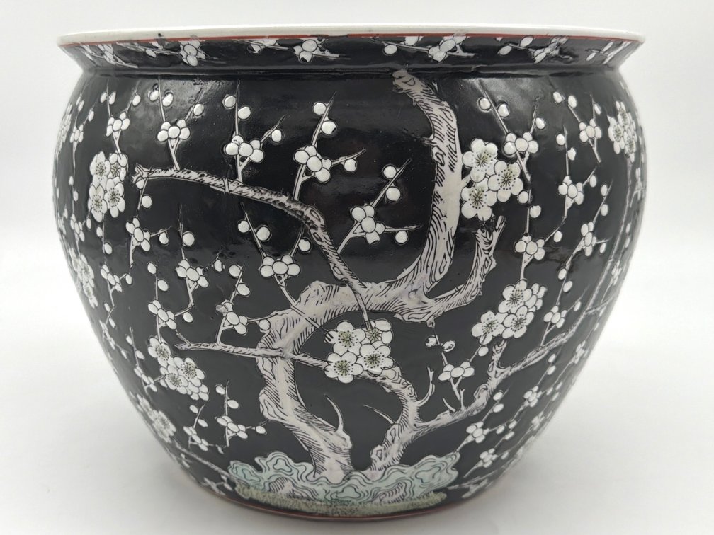Famille Noir jardiniere planter