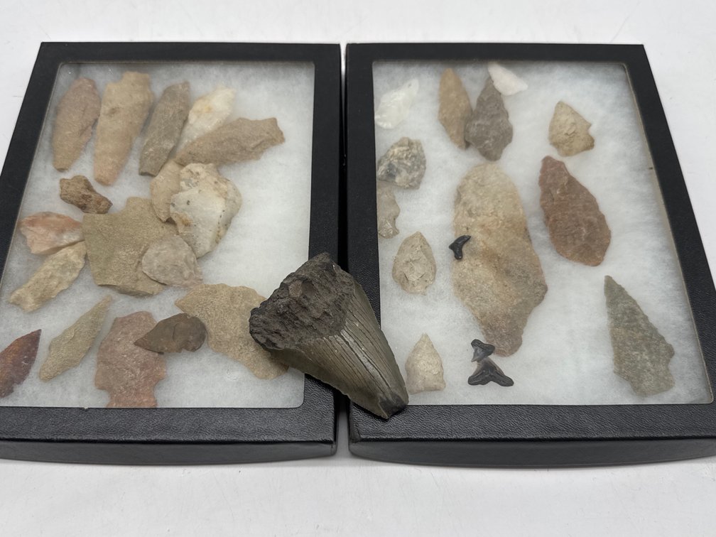 Collection of arrowheads and shark teeth