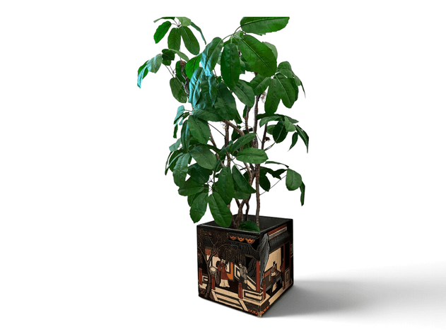 Image for UPCOMING THE NATURE RESERVE