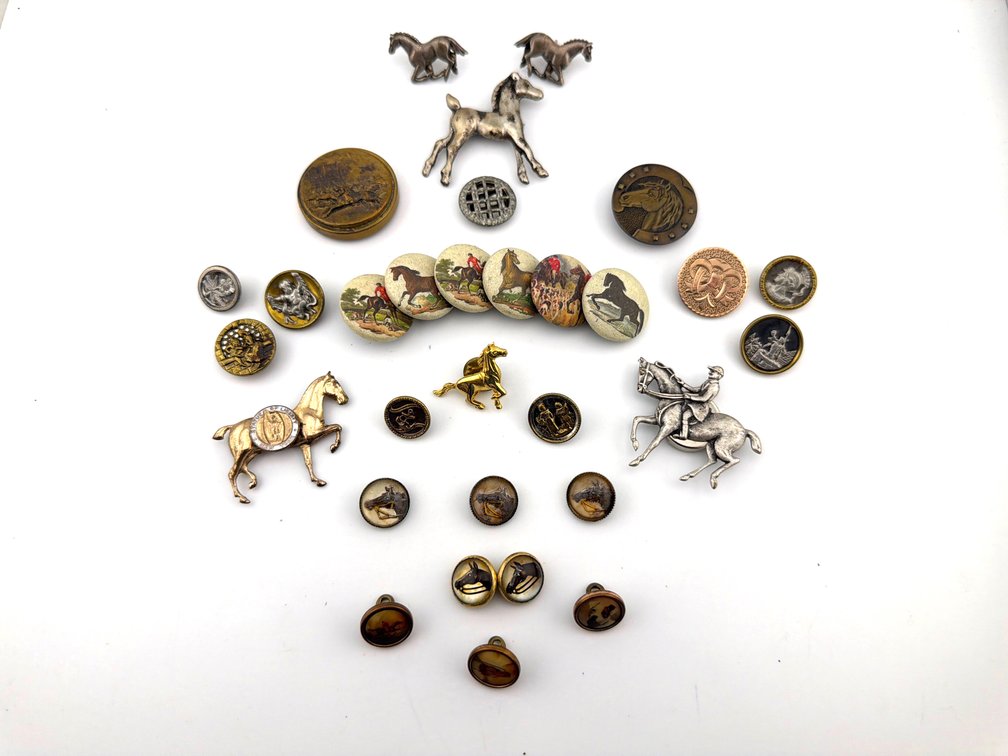 Lot of buttons with equestrian motif and horse lapel pins