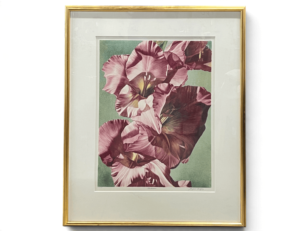 Beautifully presented flower limited edition colored print entitled "Gladiolus" by Winifred Godfrey