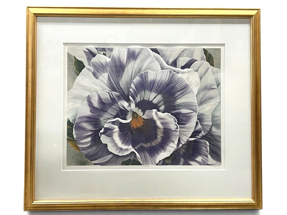 Beautifully presented flower limited edition colored print entitled "Pansy" by Winifred Godfrey