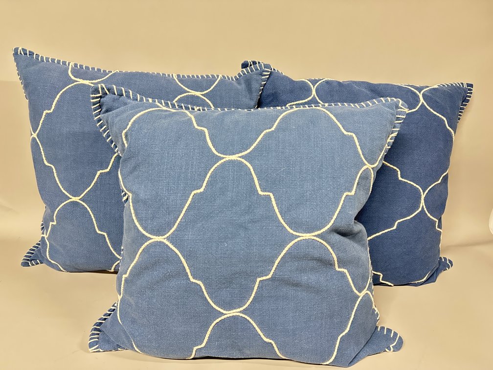 Pottery Barn 22" pillows (3)