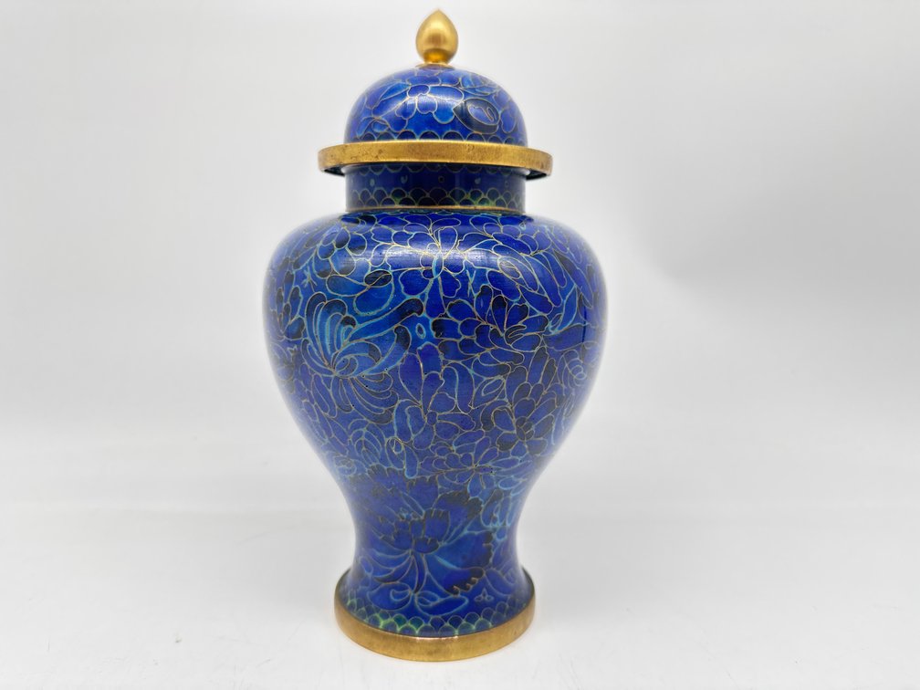 Single Chinese cloisonné vase