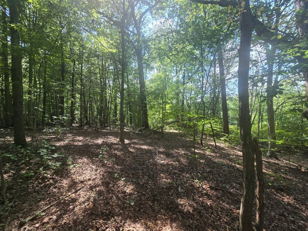 Image for Attention Builders and Dreamers...Check out this 3.96 +/- Acre Picture-Perfect Wooded Lot in Alloway Township