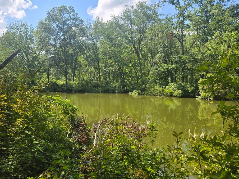Image for Attention Builders and Dreamers...Check out this 3.96 +/- Acre Picture-Perfect Wooded Lot in Alloway Township