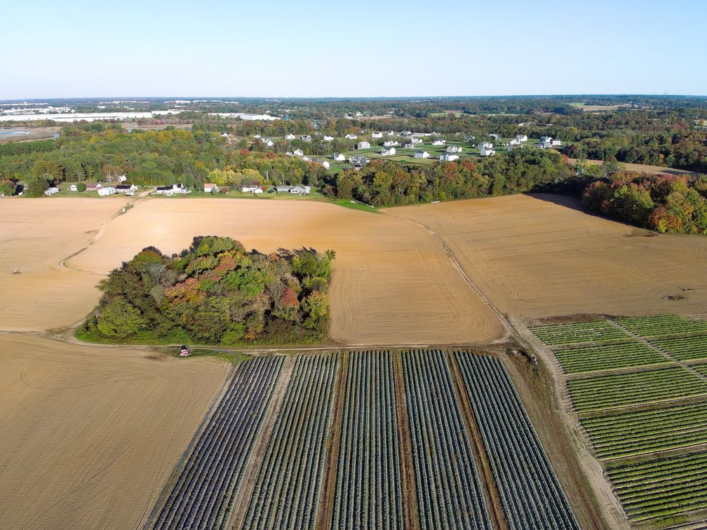 Image for 121 +/- Acres Available in Oldmans Township