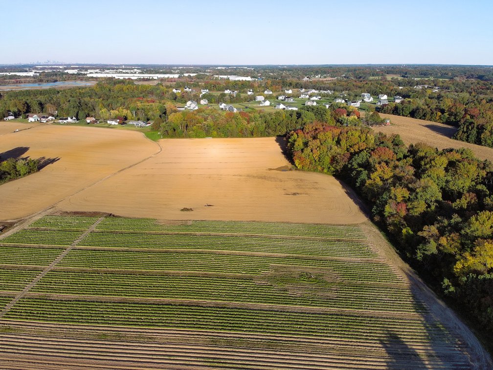 Image for 121 +/- Acres Available in Oldmans Township