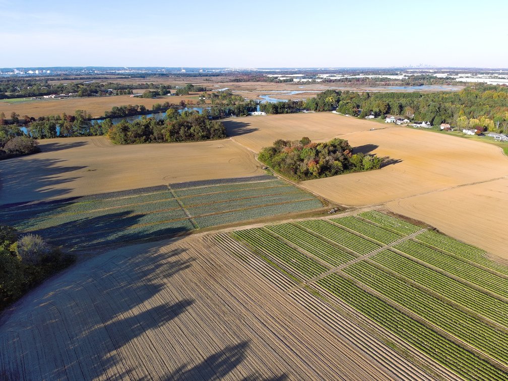 Image for 121 +/- Acres Available in Oldmans Township
