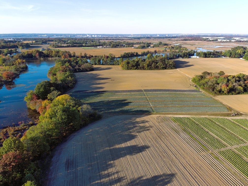 Image for 121 +/- Acres Available in Oldmans Township