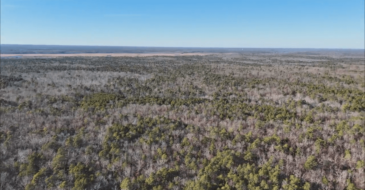 Image for 310 +/- Acres in Egg Harbor Township - Perfect Recreational Getaway
