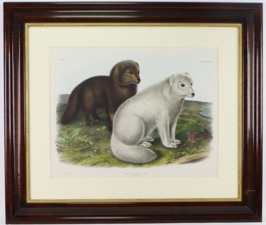 Image for Fine Art Exhibition at Doylestown | November 29, 2023 from 2:00 PM - 7:00 PM
