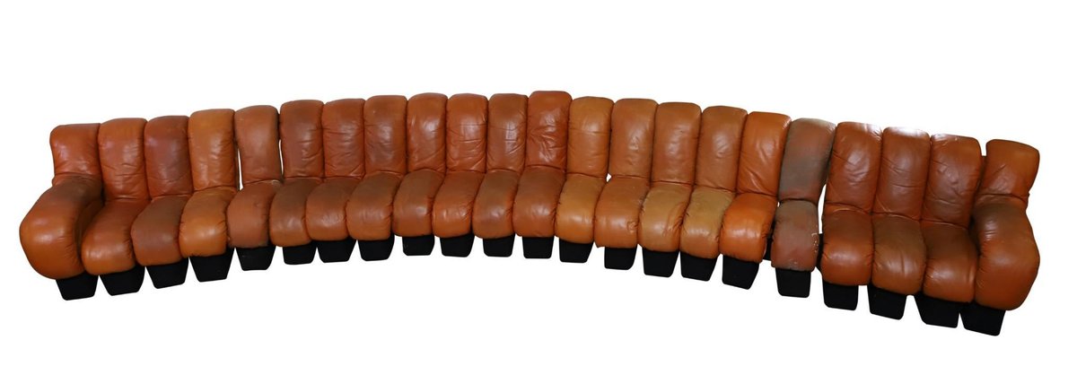 De Sede DS-600 Snake Non Stop 20 Section Sofa