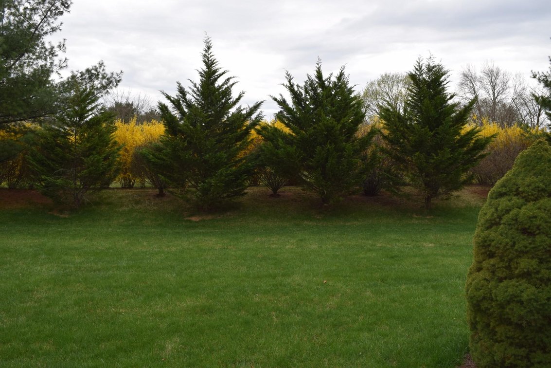 Image for Real Estate | 4154 Huckleberry Rd., Center Valley, PA 18034 | May 7, 2021 at 6:00 PM