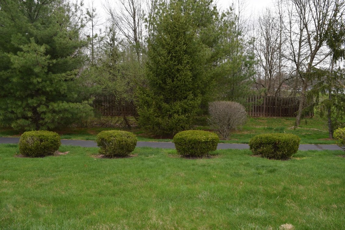 Image for Real Estate | 1586 Tarrington Way | April 30, 2021 at 5:00 pm
