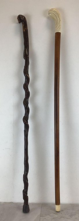 Walking Sticks 