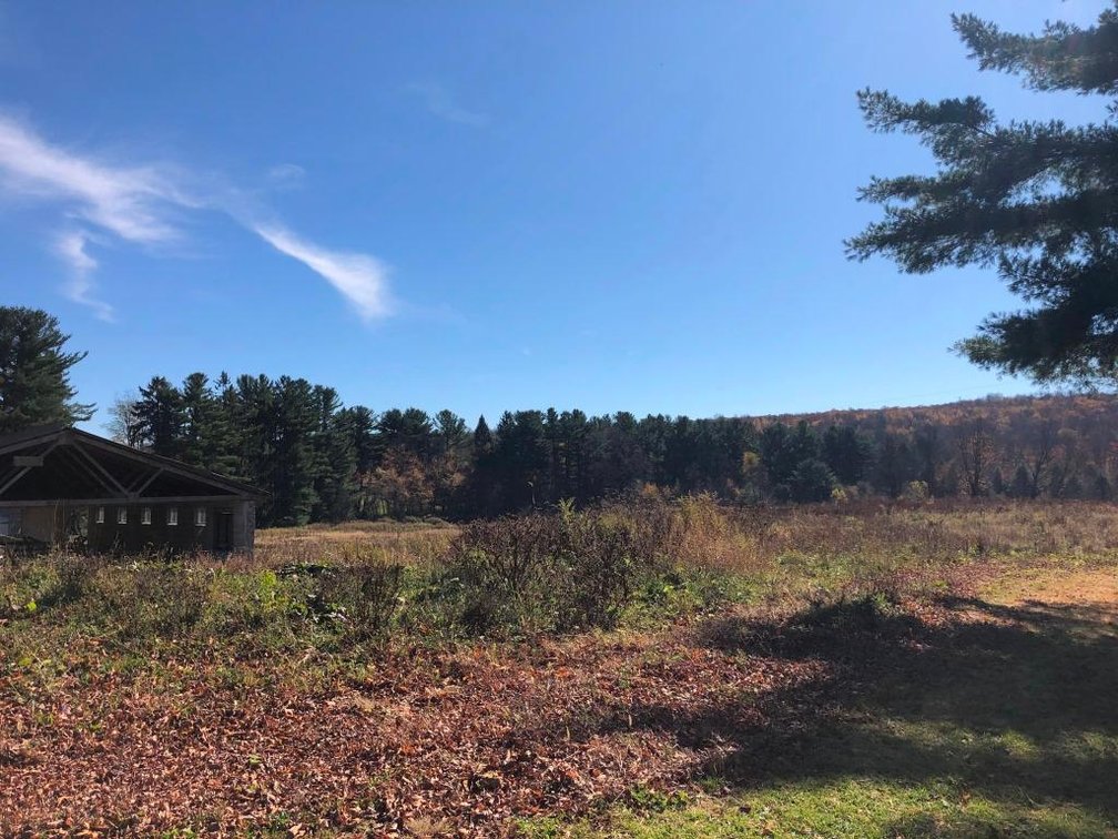 Image for Live and Online Land Auction: Lycoming County, PA