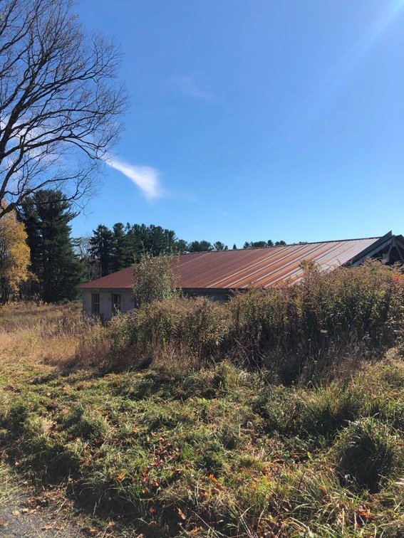 Image for Live and Online Land Auction: Lycoming County, PA