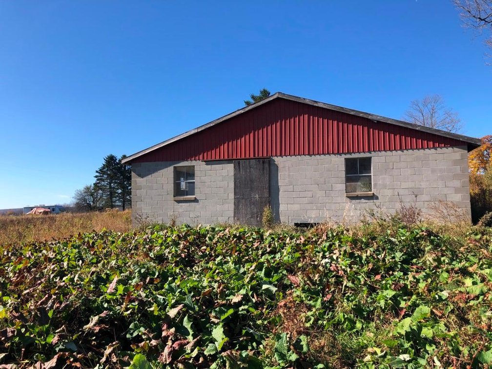 Image for Live and Online Land Auction: Lycoming County, PA