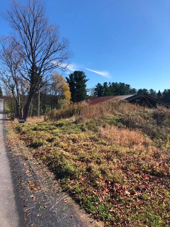Image for Live and Online Land Auction: Lycoming County, PA