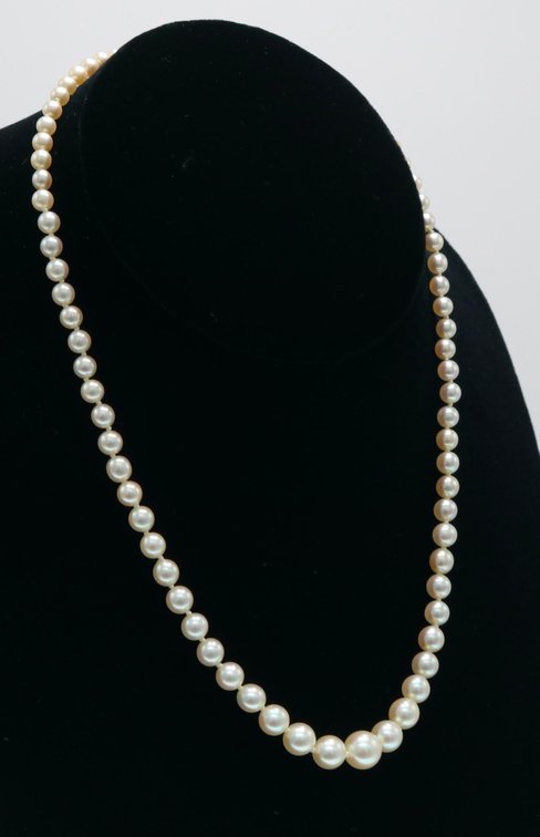 Pearl Necklace 
