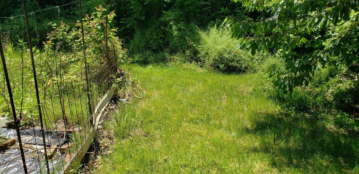 Image for Real Estate | 1506 E. 6th Street, Bethlehem, PA 18015 | June 30, 2020 at 6:00 PM