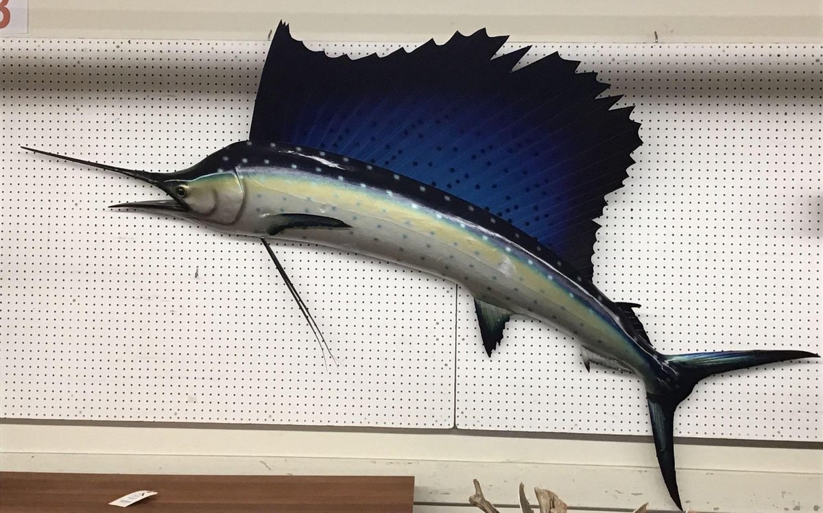 Sailfish Mount