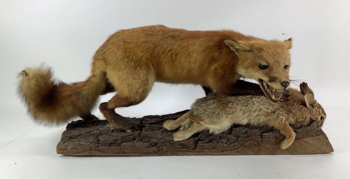 Red Fox With Rabbit Mount