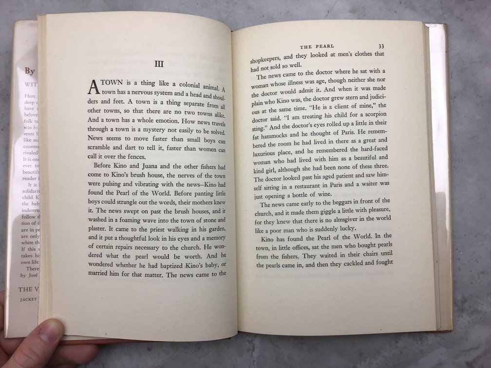Image for JOHN STEINBECK