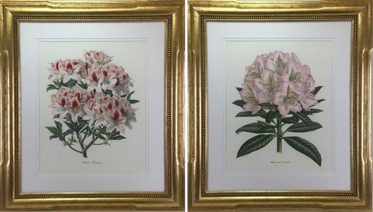 Botanical Prints