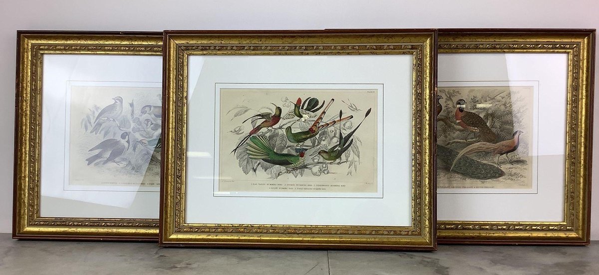 J. Stewart Engraving Prints