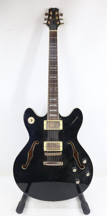 Peavey Electric Guitar