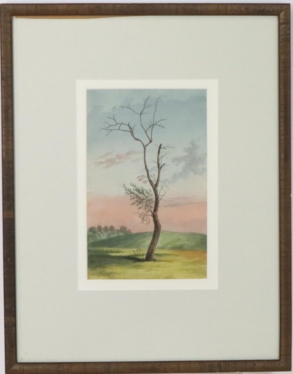 Watercolor 