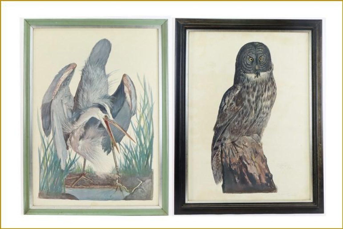 Pair of Carroll Tyson Prints (Great Blue Heron & Great Grey Owl) 