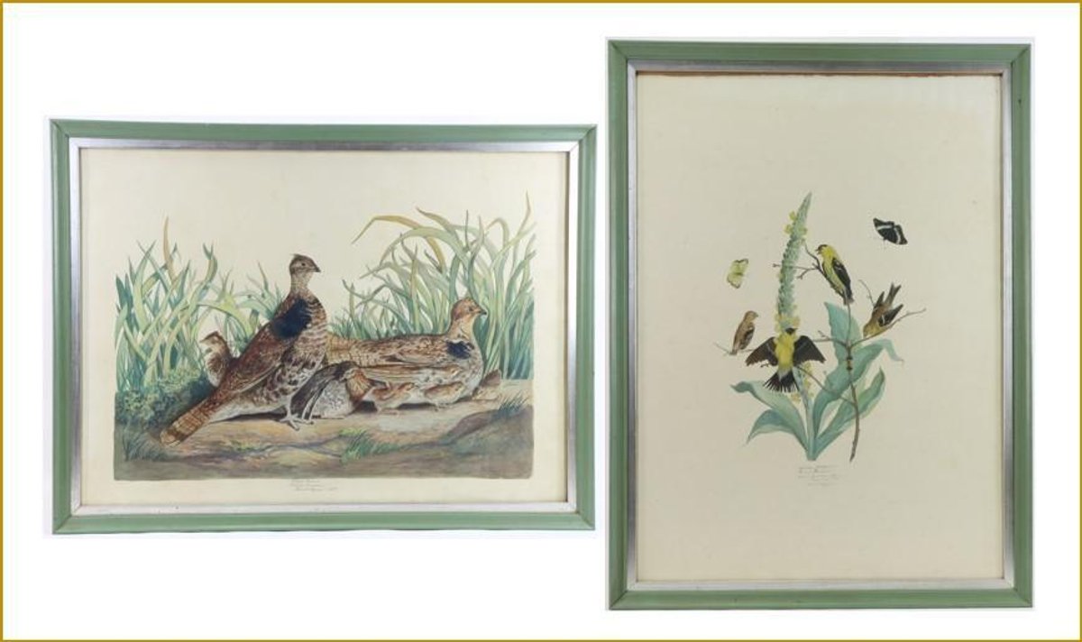 Pair of Carroll Tyson Prints (America Goldfinch & Ruffed Grouse) 
