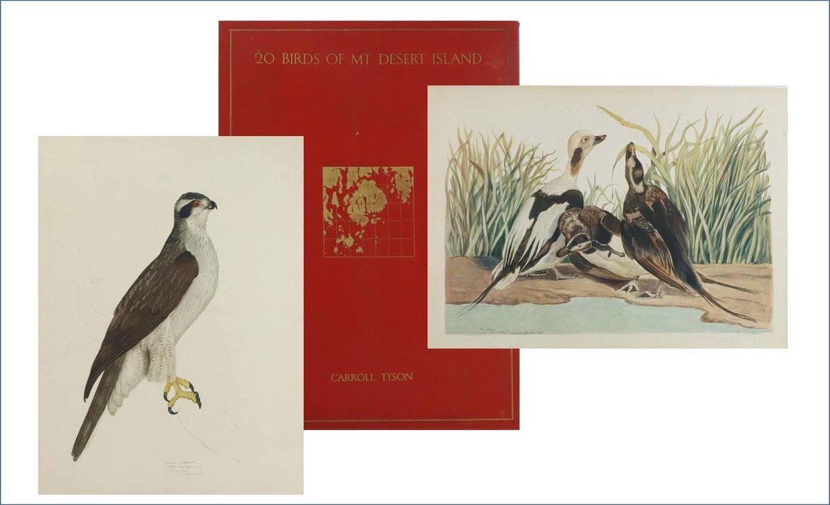 Pair of Carroll Tyson Prints (Old Squaw & American Goshawk) 