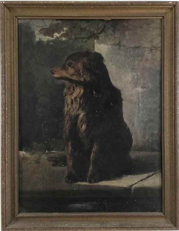Portrait of a Cocker Spaniel
