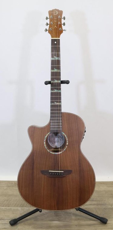Luna Acoustic-Electric Guitar