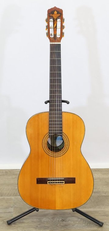 Digiorgio Classical Guitar