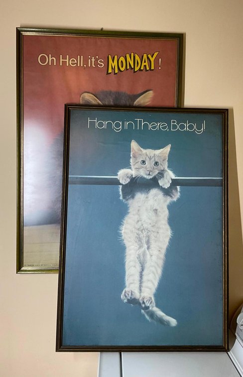 Vintage Cat Posters