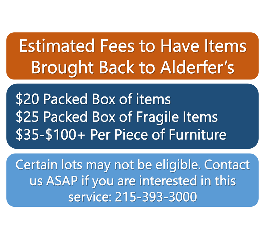 Auction Info