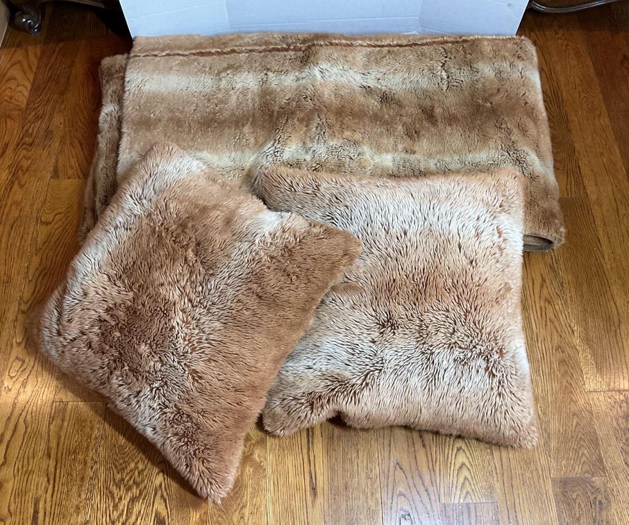 Pottery Barn Throw Pillows 