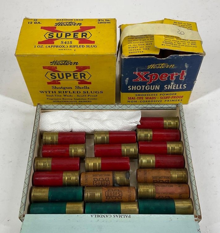 12Ga Slugs And Shotshells