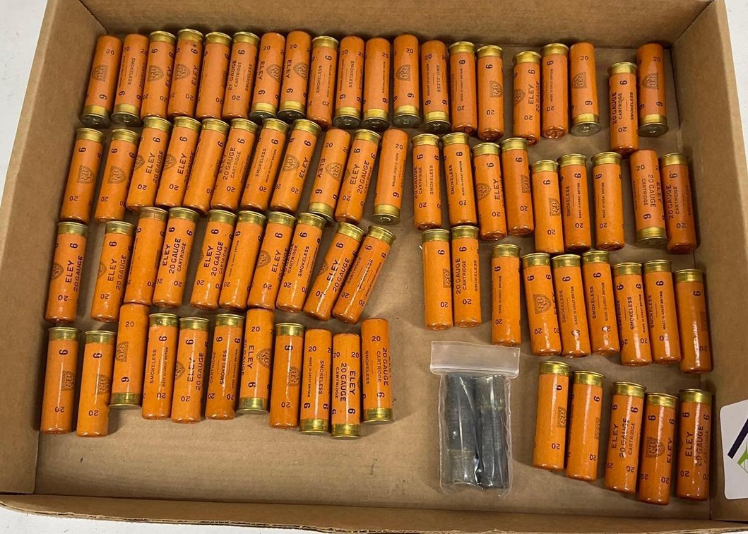 20Ga Ammo